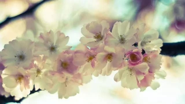 ΢ͼƬ_20190306200224.jpg